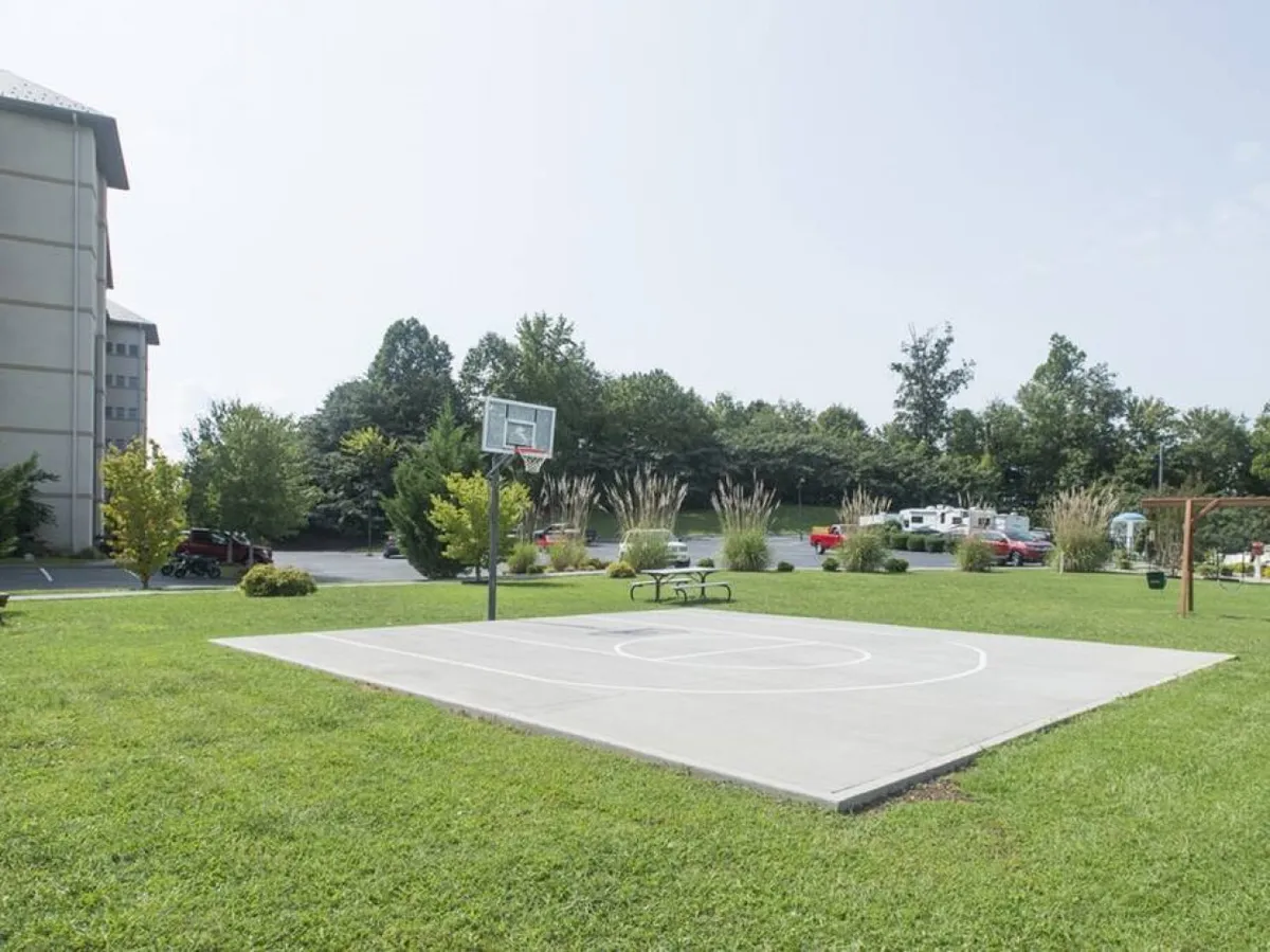 An exterior view of an open basketball court bordered by green grass and trees, with a basketball hoop as the focal point. The scene is energetic and social, suggesting friendly games and community gatherings.